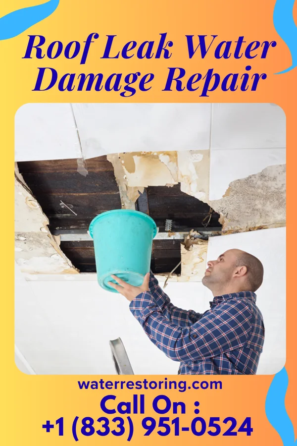 Roof Leak Water Damage Repair in Johnson Siding, SD